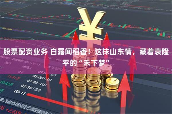 股票配资业务 白露闻稻香！这抹山东情，藏着袁隆平的“禾下梦”